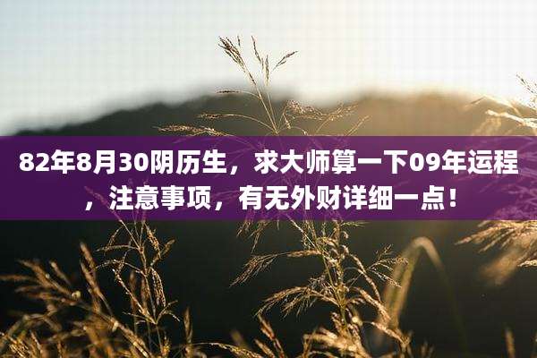 82年8月30阴历生,求大师算一下09年运程,注意事项,有无外财详细一点!