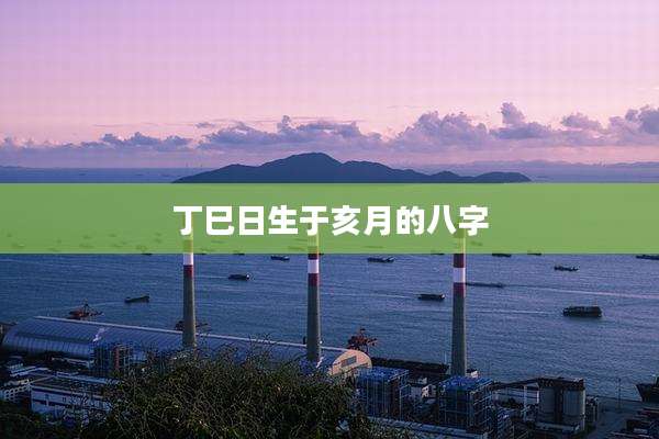 丁巳日生于亥月的八字