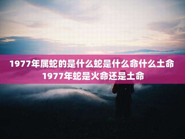 1977年属蛇的是什么蛇是什么命什么土命 1977年蛇是火命还是土命