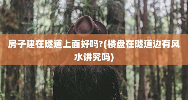 房子建在隧道上面好吗?(楼盘在隧道边有风水讲究吗)
