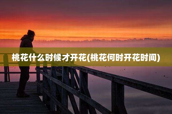 桃花什么时候才开花(桃花何时开花时间)