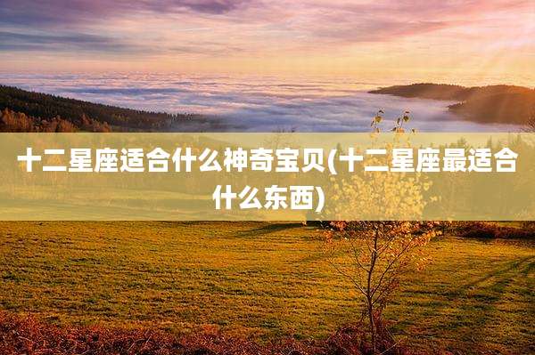 十二星座适合什么神奇宝贝(十二星座最适合什么东西)