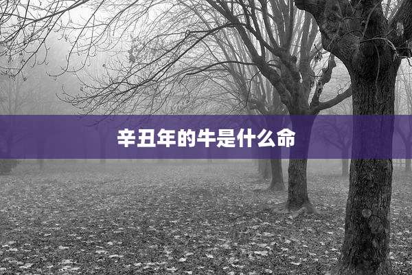 辛丑年的牛是什么命