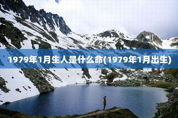 1979年1月生人是什么命(1979年1月出生)