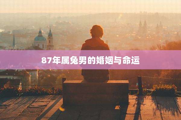 87年属兔男的婚姻与命运