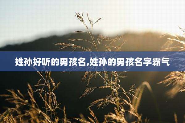 姓孙好听的男孩名,姓孙的男孩名字霸气