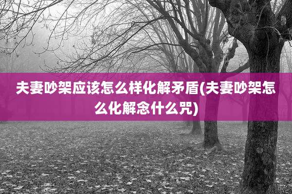 夫妻吵架应该怎么样化解矛盾(夫妻吵架怎么化解念什么咒)