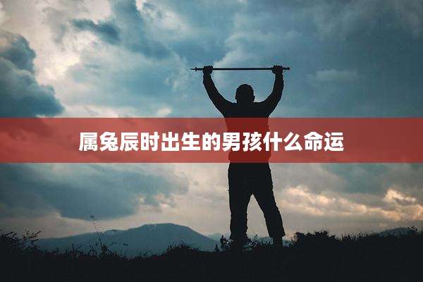 属兔辰时出生的男孩什么命运