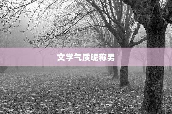 文学气质昵称男