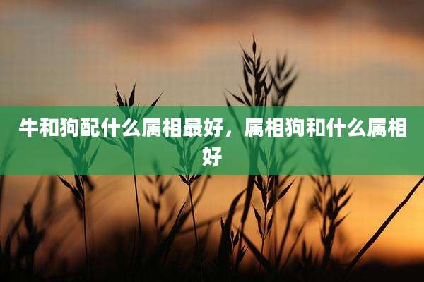 牛和狗配什么属相最好，属相狗和什么属相好