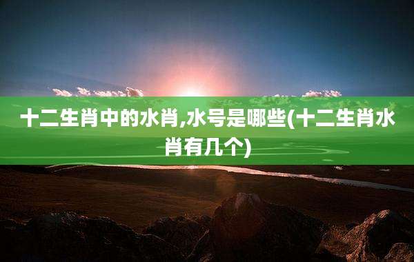 十二生肖中的水肖,水号是哪些(十二生肖水肖有几个)