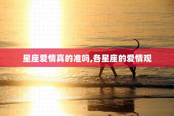 星座爱情真的准吗,各星座的爱情观