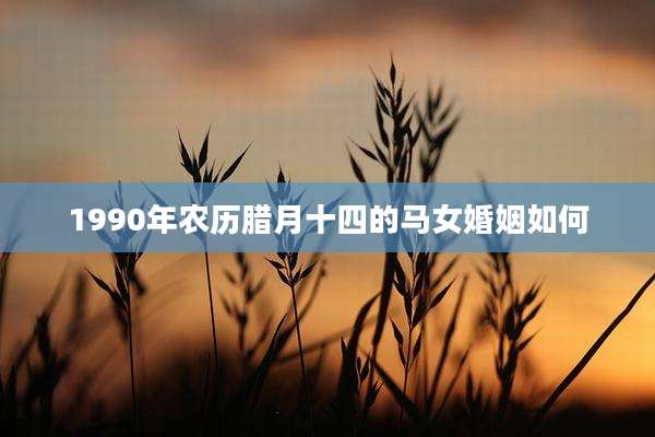 1990年农历腊月十四的马女婚姻如何