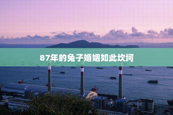 87年的兔子婚姻如此坎坷