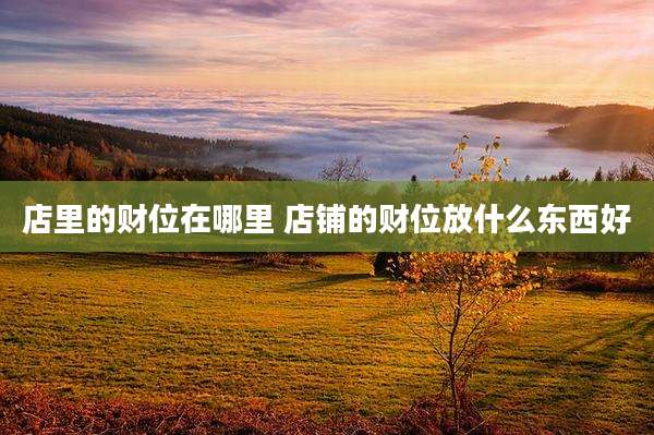 店里的财位在哪里 店铺的财位放什么东西好