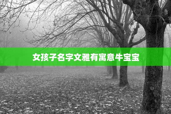 女孩子名字文雅有寓意牛宝宝