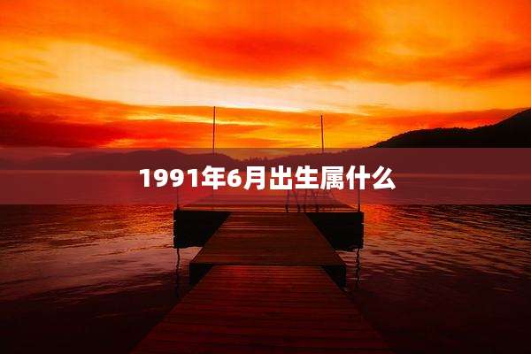 1991年6月出生属什么