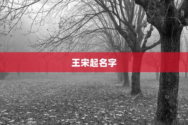 王宋起名字
