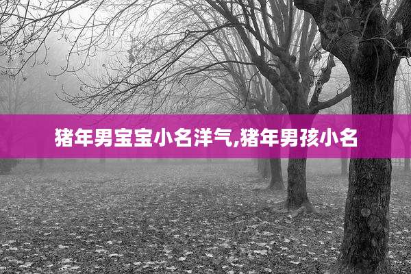 猪年男宝宝小名洋气,猪年男孩小名