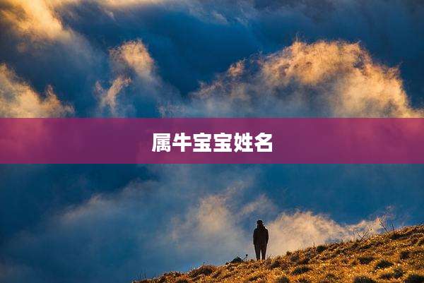 属牛宝宝姓名