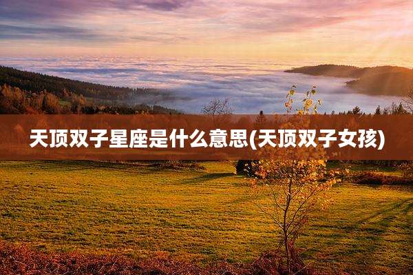 天顶双子星座是什么意思(天顶双子女孩)