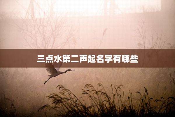 三点水第二声起名字有哪些