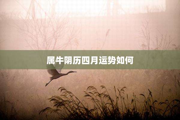 属牛阴历四月运势如何
