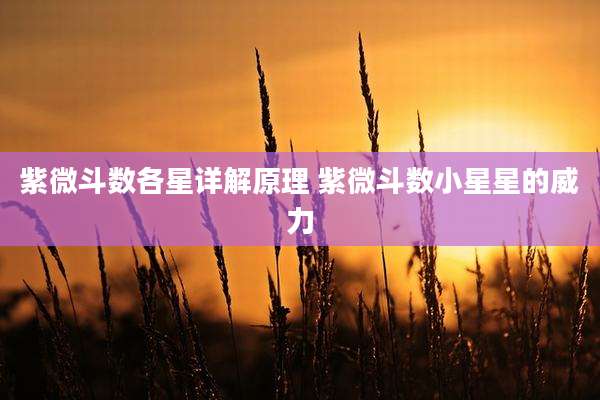 紫微斗数各星详解原理 紫微斗数小星星的威力