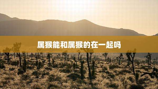 属猴能和属猴的在一起吗