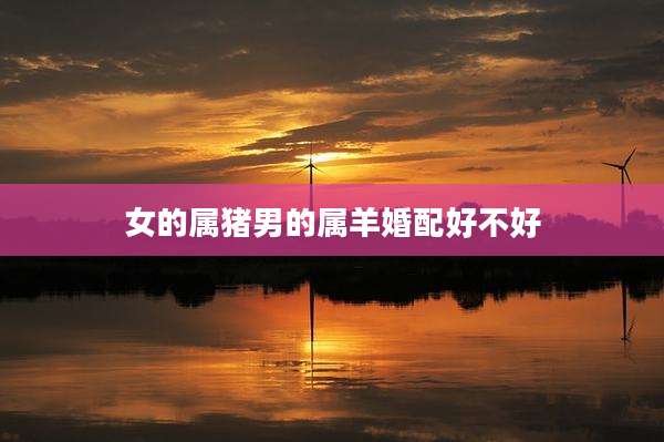 女的属猪男的属羊婚配好不好