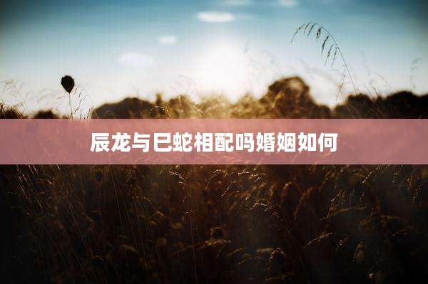 辰龙与巳蛇相配吗婚姻如何