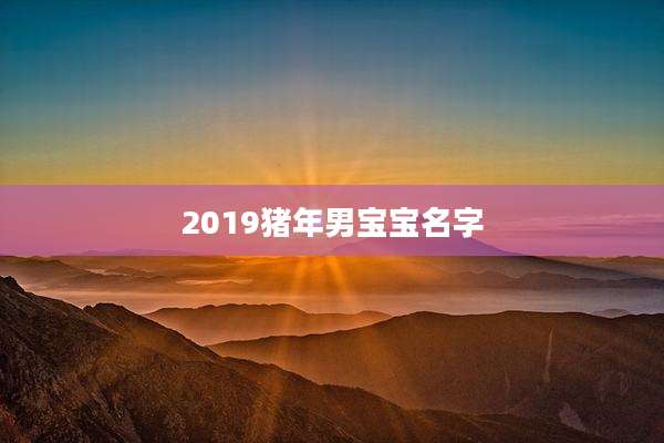 2019猪年男宝宝名字