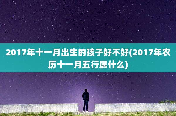 2017年十一月出生的孩子好不好(2017年农历十一月五行属什么)
