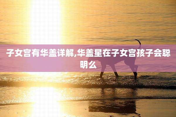 子女宫有华盖详解,华盖星在子女宫孩子会聪明么