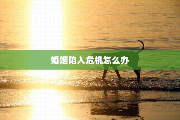 婚姻陷入危机怎么办