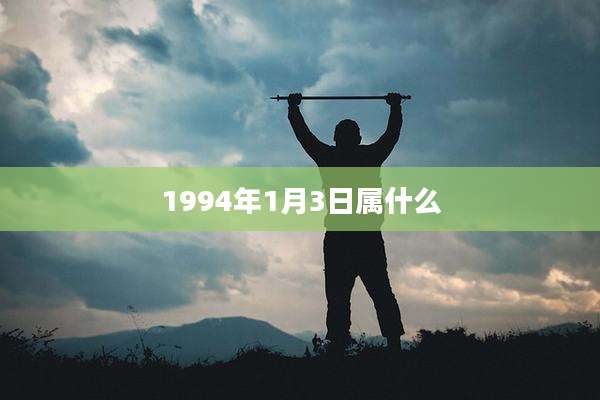 1994年1月3日属什么