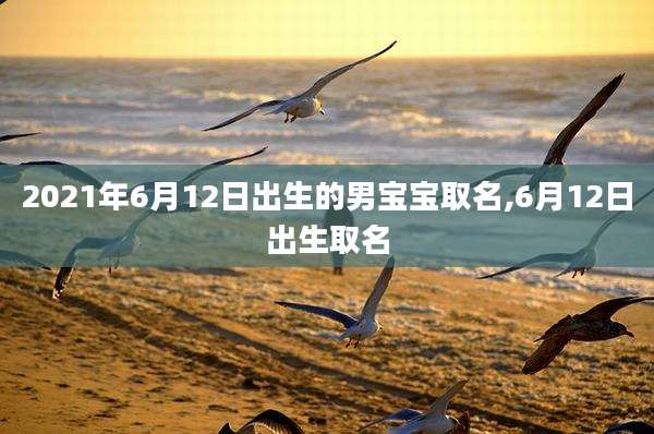 2021年6月12日出生的男宝宝取名,6月12日出生取名