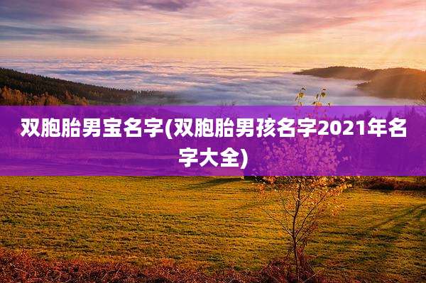 双胞胎男宝名字(双胞胎男孩名字2021年名字大全)