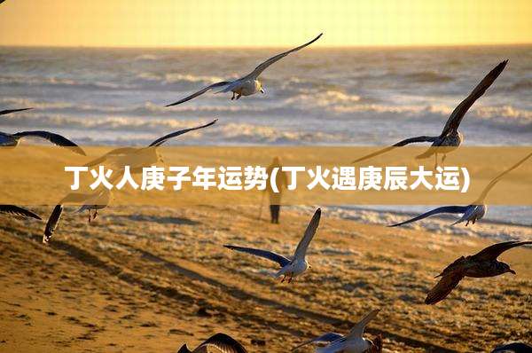丁火人庚子年运势(丁火遇庚辰大运)