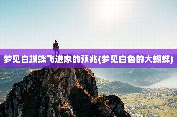 梦见白蝴蝶飞进家的预兆(梦见白色的大蝴蝶)