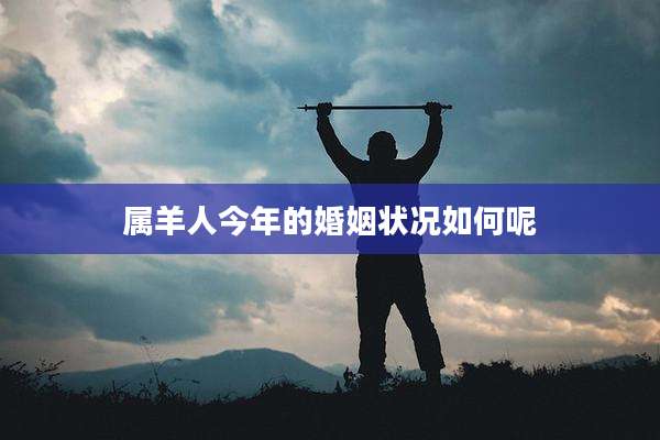 属羊人今年的婚姻状况如何呢