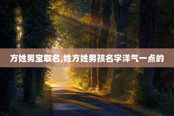 方姓男宝取名,姓方姓男孩名字洋气一点的