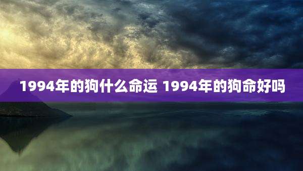 1994年的狗什么命运 1994年的狗命好吗