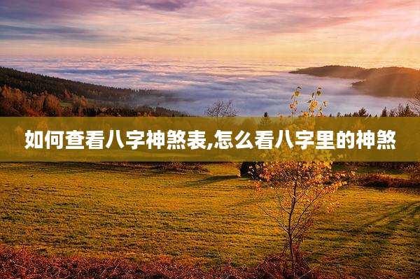 如何查看八字神煞表,怎么看八字里的神煞