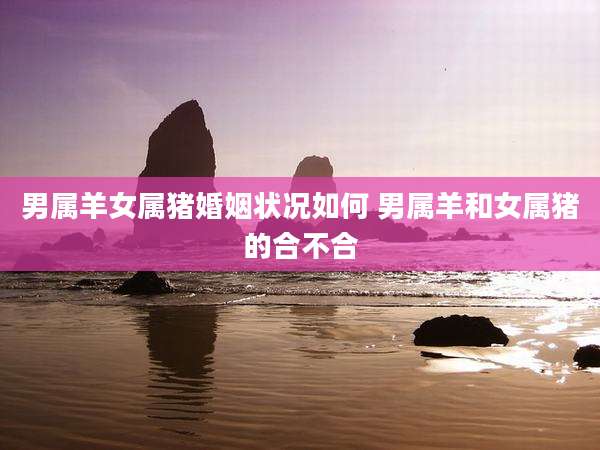 男属羊女属猪婚姻状况如何 男属羊和女属猪的合不合
