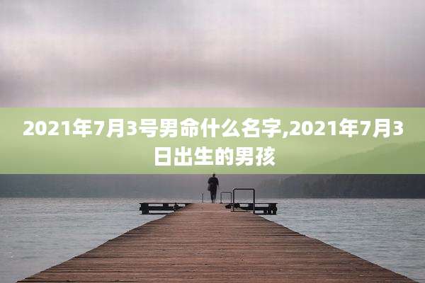 2021年7月3号男命什么名字,2021年7月3日出生的男孩