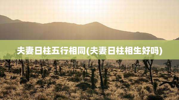 夫妻日柱五行相同(夫妻日柱相生好吗)