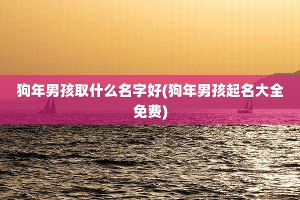 狗年男孩取什么名字好(狗年男孩起名大全免费)