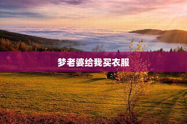 梦老婆给我买衣服
