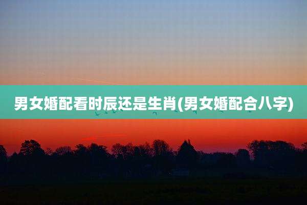 男女婚配看时辰还是生肖(男女婚配合八字)